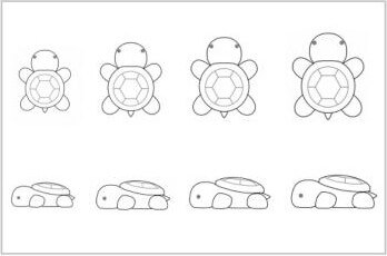tortoise template