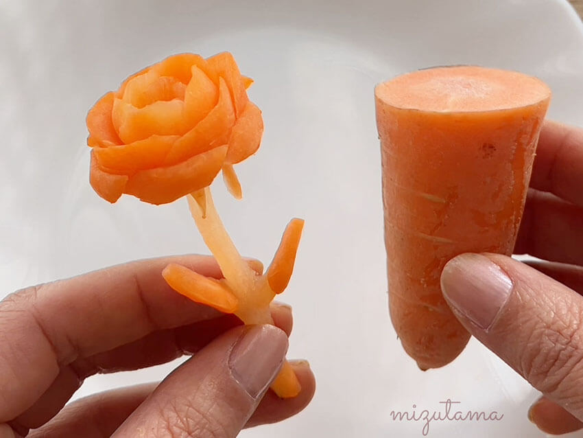 carrot_rose 5