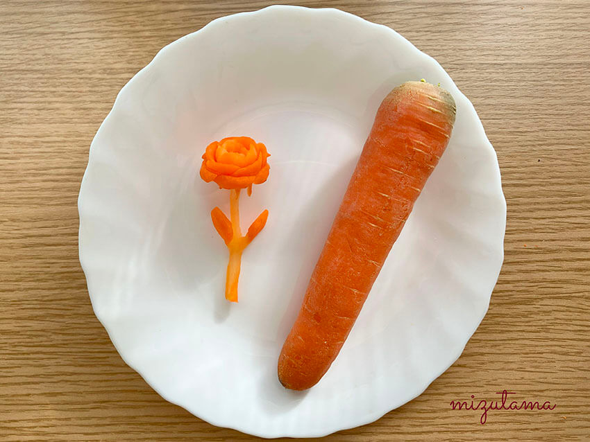 carrot_rose 6